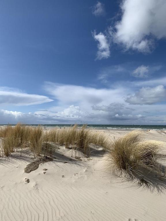 Villa Seeblick Warnemuende - Fewo Mit Meerblick Und Balkon Direkt Am Strand Fuer 2-4 Pers Rostock Dış mekan fotoğraf